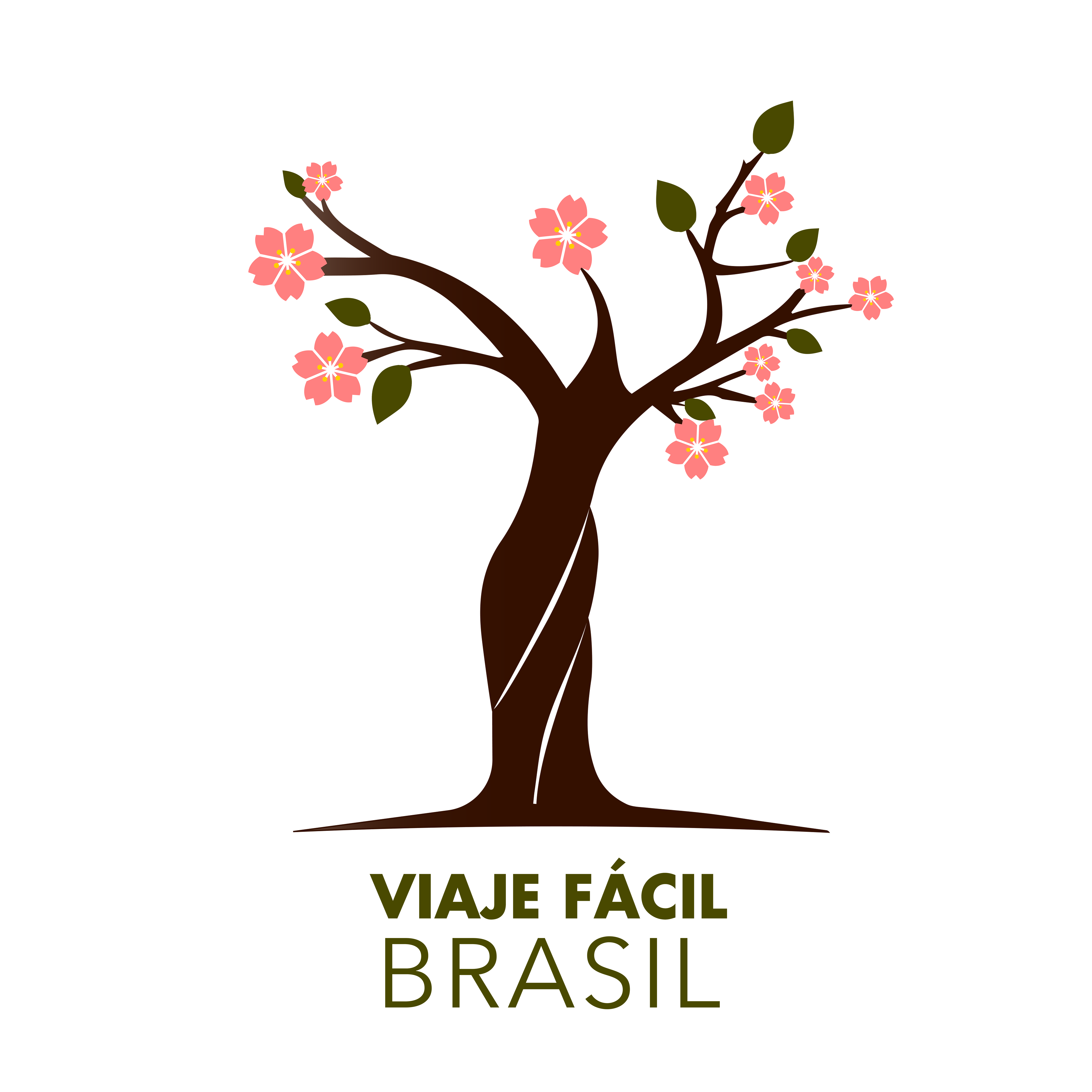 Blog – Viaje Fácil Brasil 